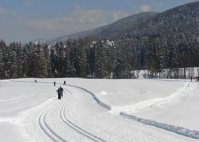 Accommodatie bij particulieren U Ewy *